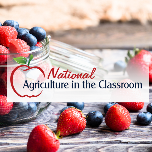 Click here to learn more about TAF's work with the National Agriculture in the Classroom.